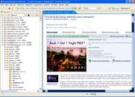 Lively Browser screenshot